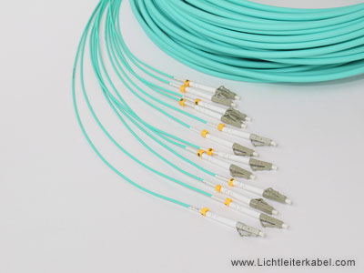 Kabelpeitsche mit 12 LC Steckern