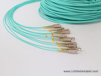 Kabelpeitsche mit 12 SC Steckern und Kabelmarkierern