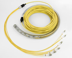 437100 - Singlemode LWL Kabel mit 12 Fasern, 100m, LC-LC 12E 9/125µm
